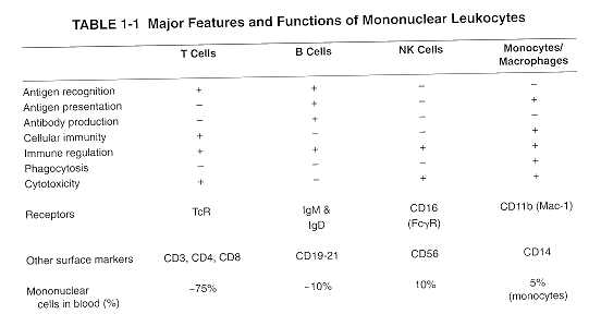 Tabla 1. Características principales y funciones de las células mononucleares.